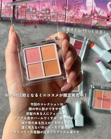 フーミー リリュタンパレット/WHOMEE/アイシャドウパレットを使ったクチコミ(2枚目)