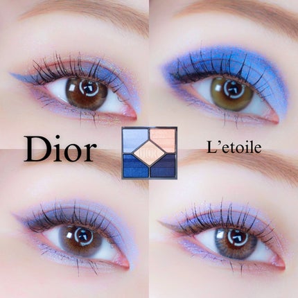 DIOR 完売品 ディオールショウ サンク クルール 173 限定品 レトワール ディオールショウ サンク クルール(プラン ドゥ パリ
