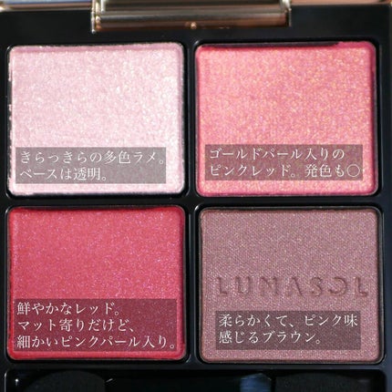 アイカラーレーション/LUNASOL/アイシャドウパレットを使ったクチコミ(3枚目)