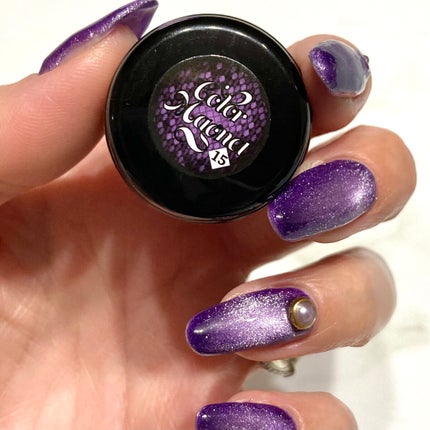 マグネットジェル 15/ネイル工房/ジェルネイルの画像