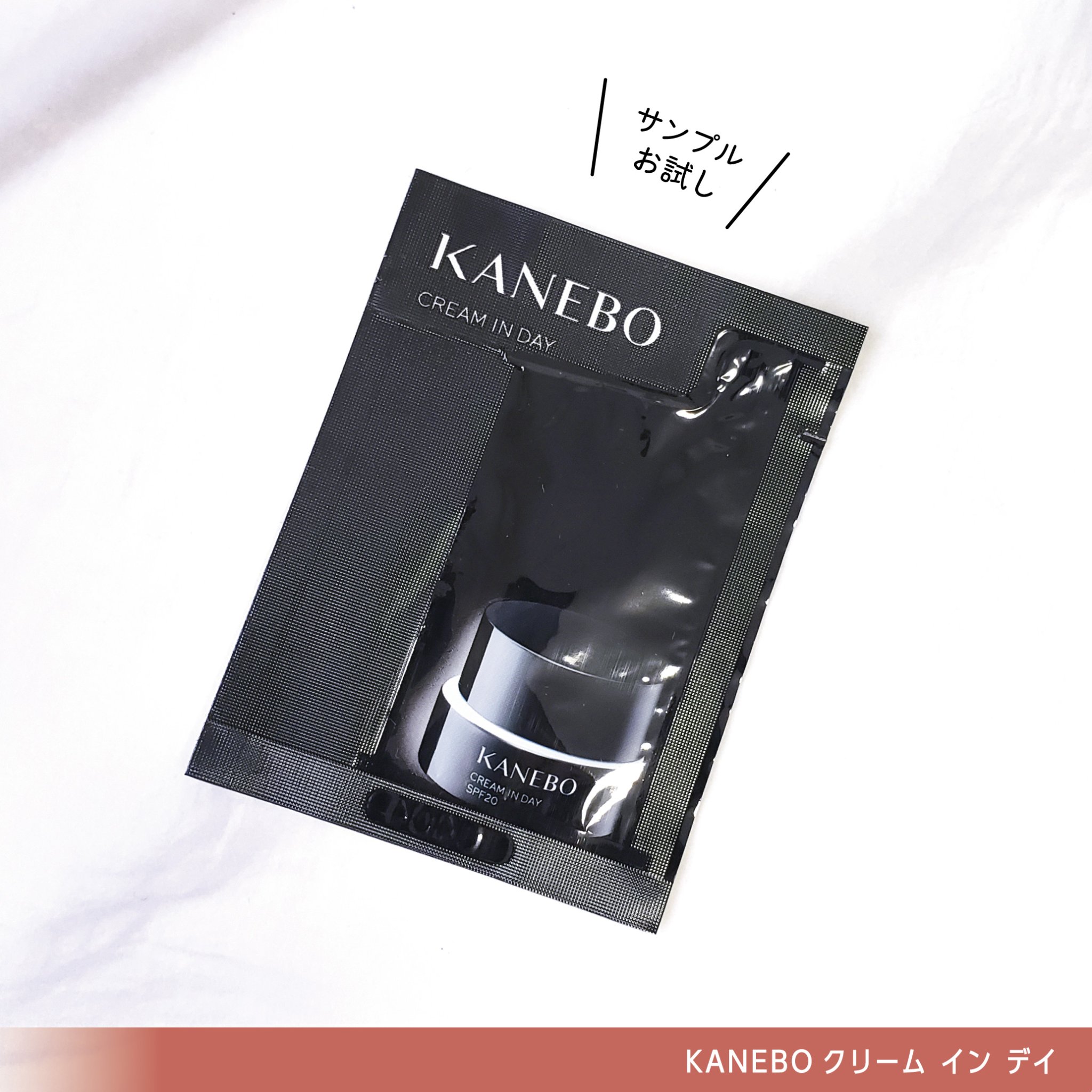 ルージュスターヴァイブラント/KANEBO/口紅を使ったクチコミ（2枚目）