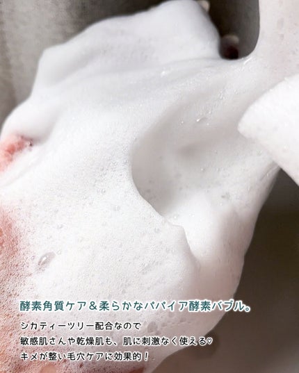 シカカーミングパウダーウォッシュ/TOCOBO/洗顔パウダーを使ったクチコミ(4枚目)