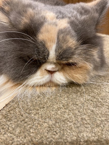 ã¿ããð§ð¬ on LIPS ãç«ã¡ãã(*ΊÏΊ*)倧奜ãâ¡âºïžã¿ããã§ãïŒåæçš¿ãªã®ã§èªå·±..ãïŒ6æç®ïŒ