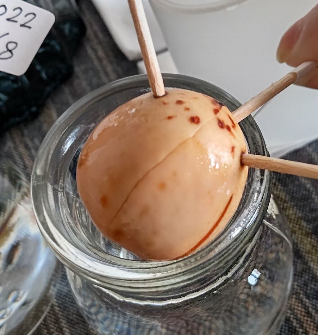 ガラス花瓶/DAISO/その他を使ったクチコミ（2枚目）