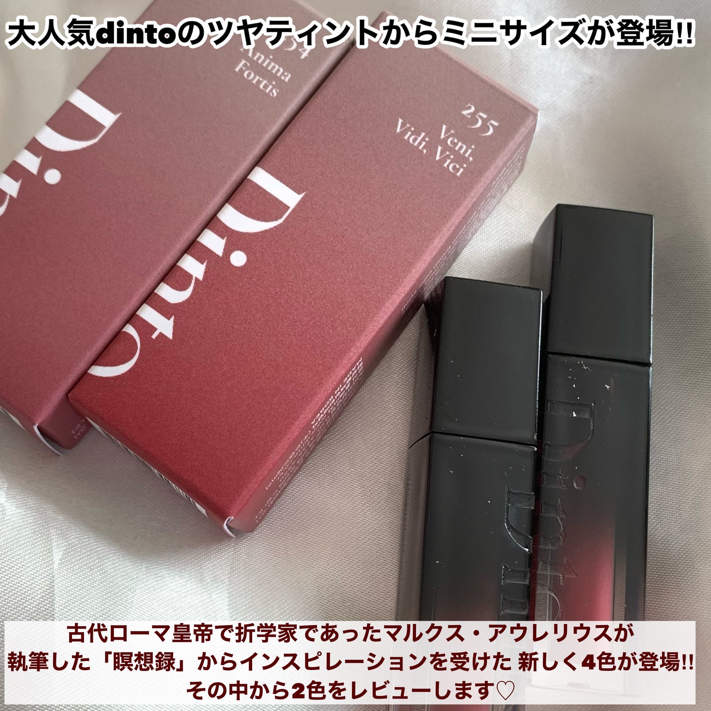 ブラーグロイリップティント/Dinto/リップティントを使ったクチコミ(2枚目)