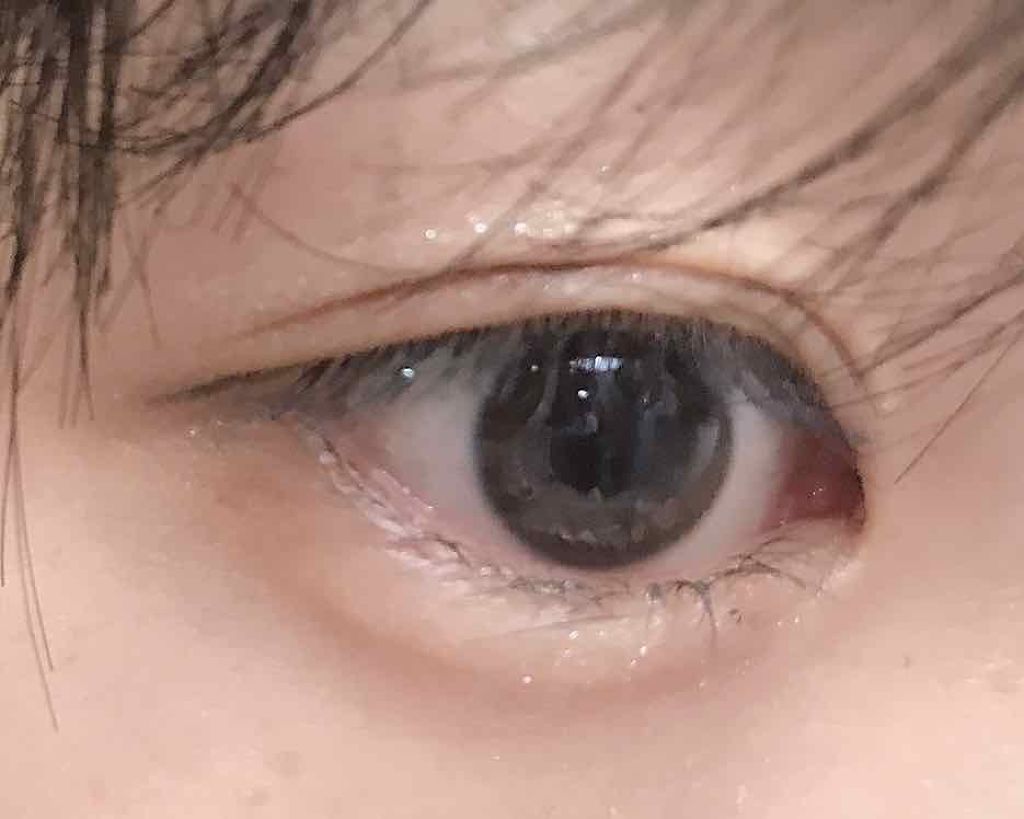 クイックラッシュカーラー/キャンメイク/マスカラ下地を使ったクチコミ(2枚目)