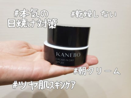 サンカットR パーフェクトUV スプレー/サンカット®/日焼け止めミスト・スプレーを使ったクチコミ(1枚目)