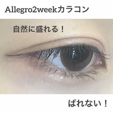 自然に盛れる

「Allegro 2week fine brown」 

色味は名前の通りブラウンカラー！
イエローかグリーンが若干入っている感じ…🧐
色素薄い瞳になれる！？
普段使い出来そうで良き♡
