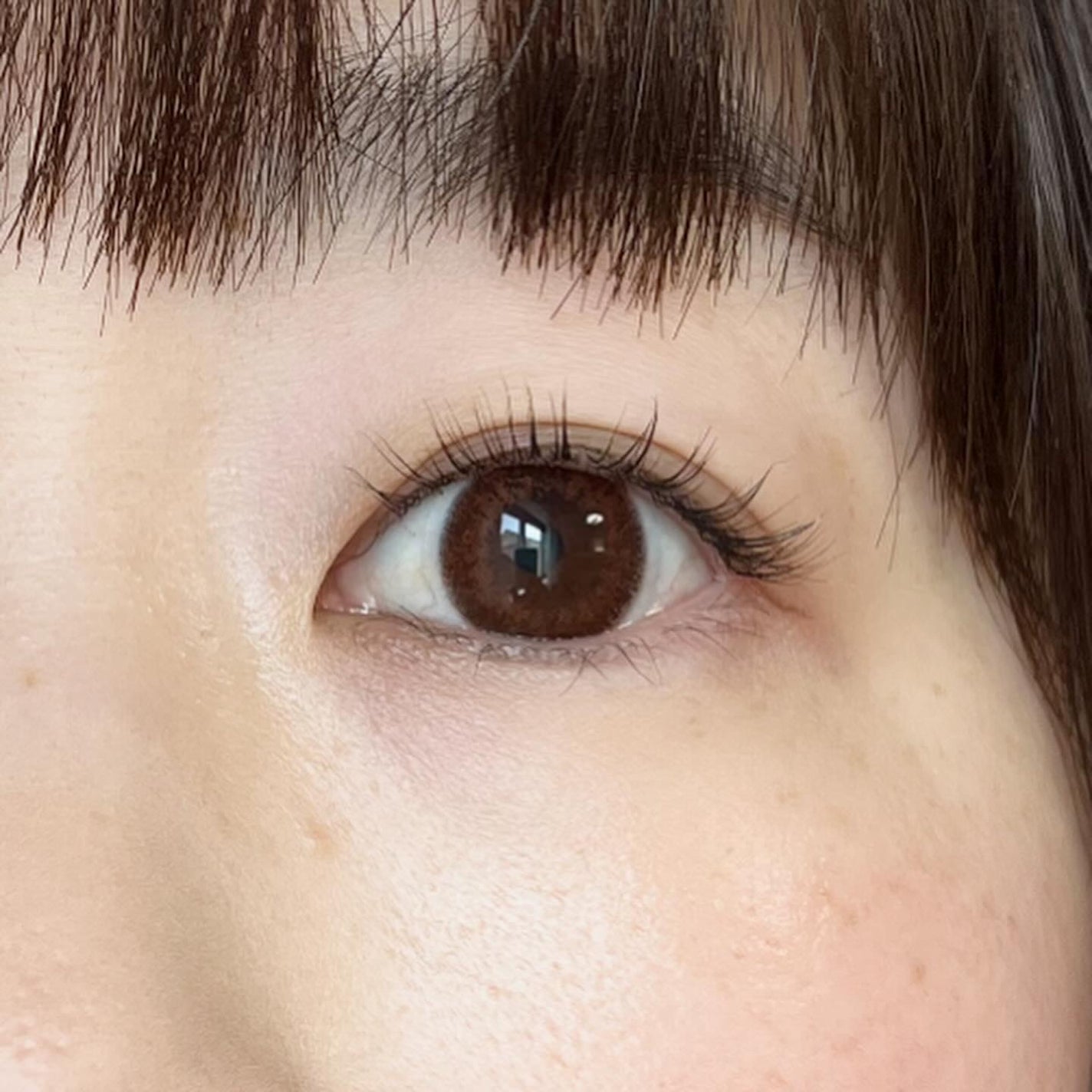 カールアメイジング マスカラ/Elégance/マスカラを使ったクチコミ(4枚目)