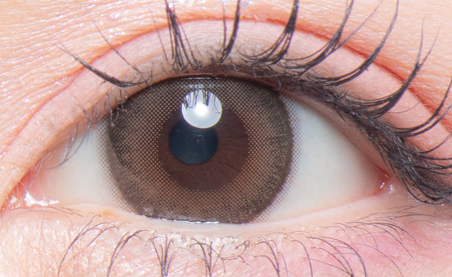 colors 1day ナチュラルシルキーブラウン