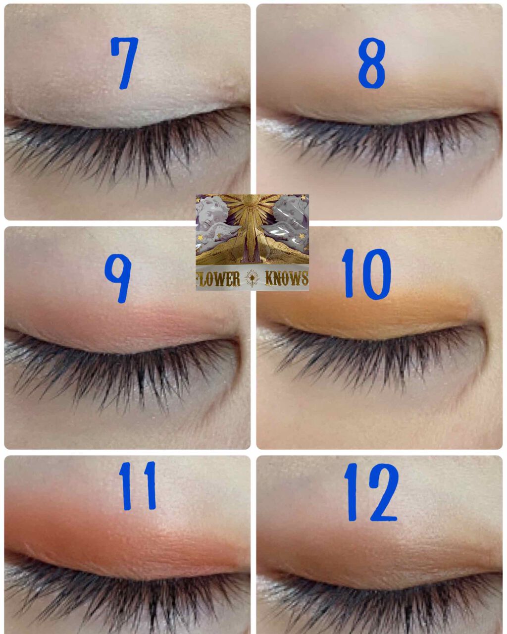 リトルエンジェル12色アイシャドウパレット/FlowerKnows/アイシャドウパレットを使ったクチコミ(7枚目)