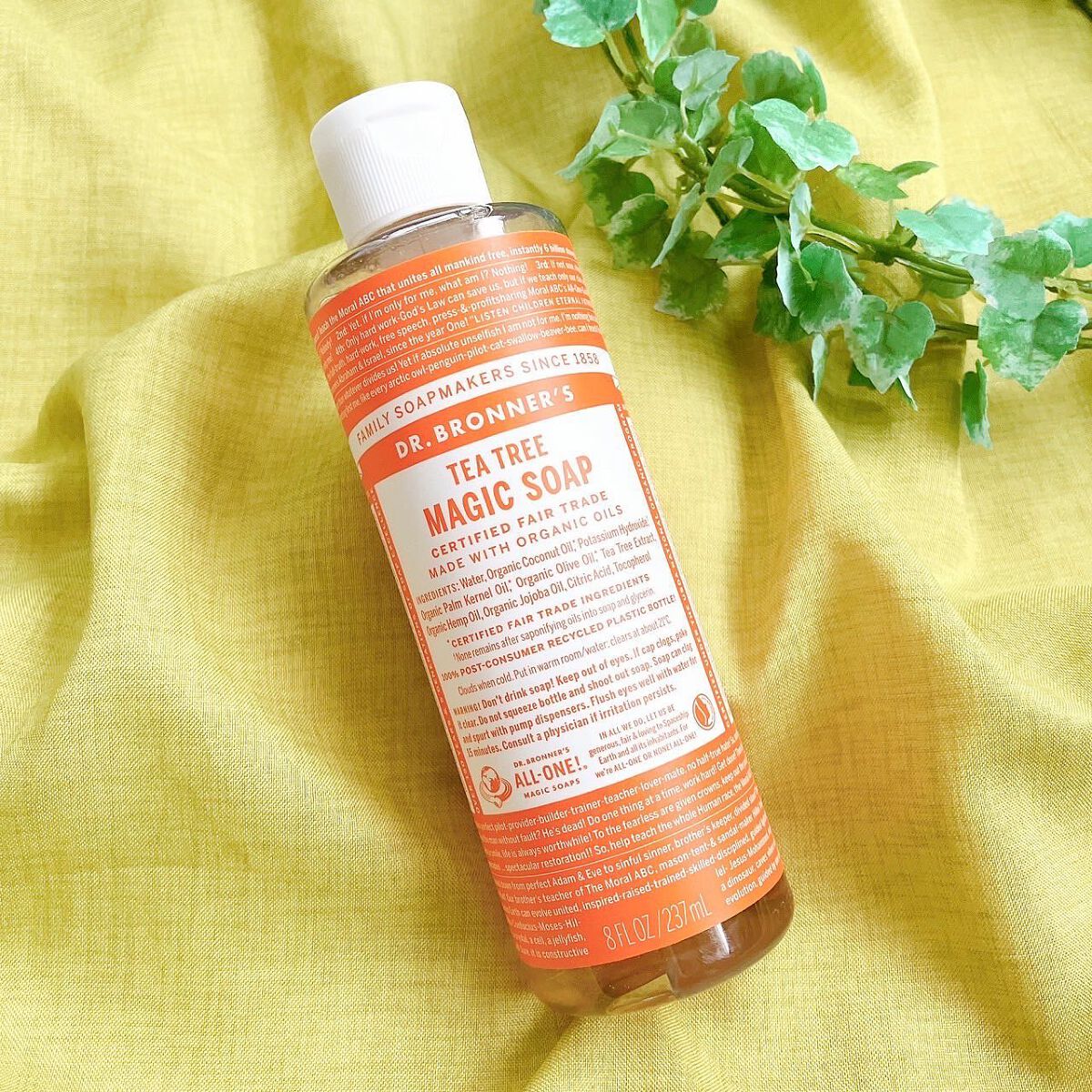 マジックソープ ティートゥリー/ドクターブロナー/ボディソープを使ったクチコミ(1枚目)