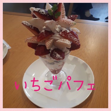 【Very  Berryのいちご🍓パフェ ツインベリー】

喰らえ、いちご爆弾〰️💣💥

優しい甘味の白いちごに、
酸味の爽やかな紅いいちご🍓
ふんだんにトッピング🎵

中はチョコアイスとバニラアイス、