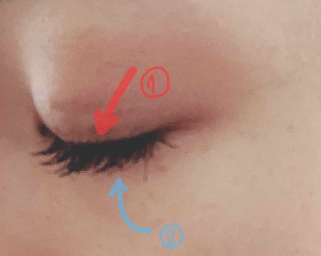 グレートカール マスカラ 24(ボリュームロング)/リンメル ロンドン/マスカラを使ったクチコミ（2枚目）