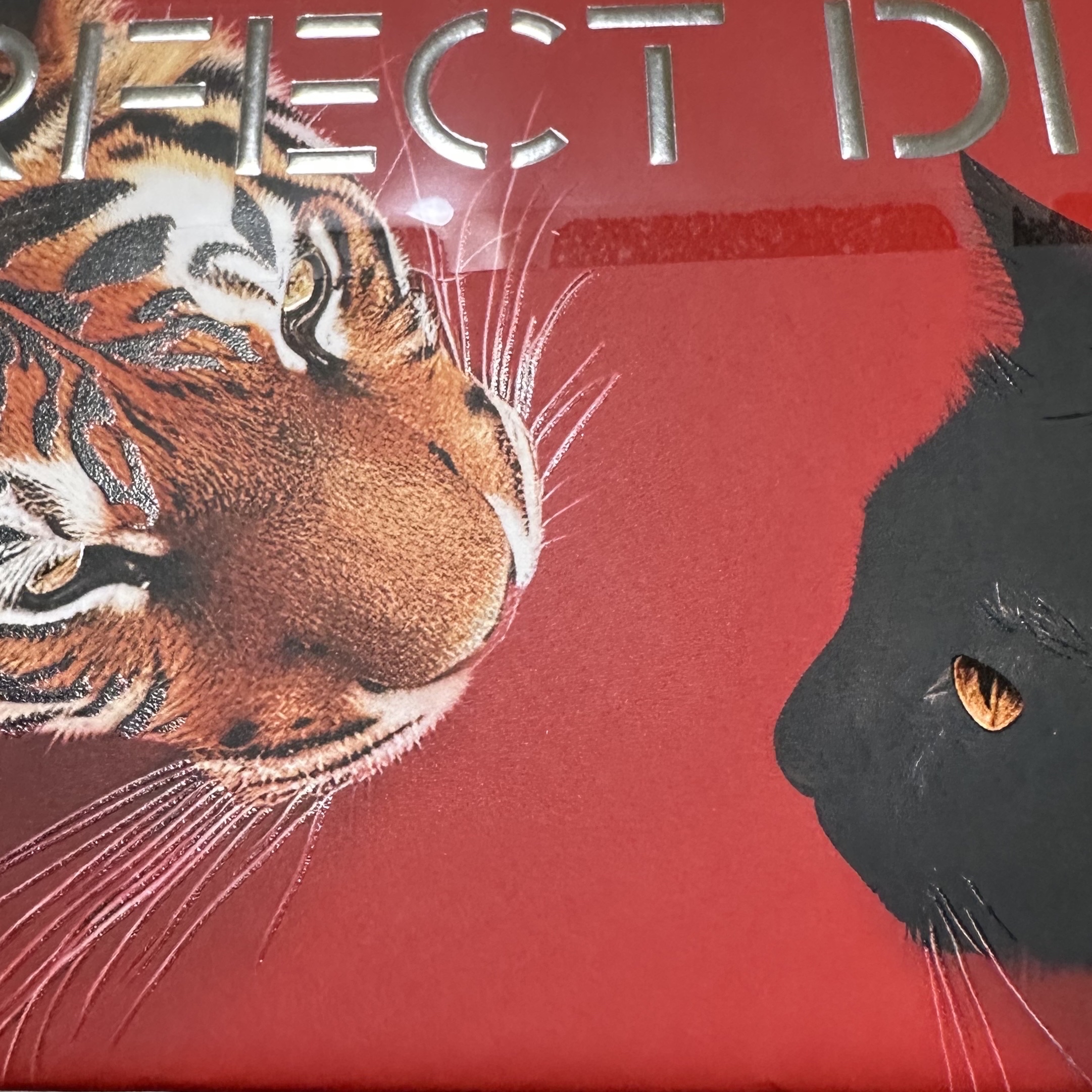 エクスプローラ12色 動物アイシャドウパレット｜PERFECT DIARYの人気色