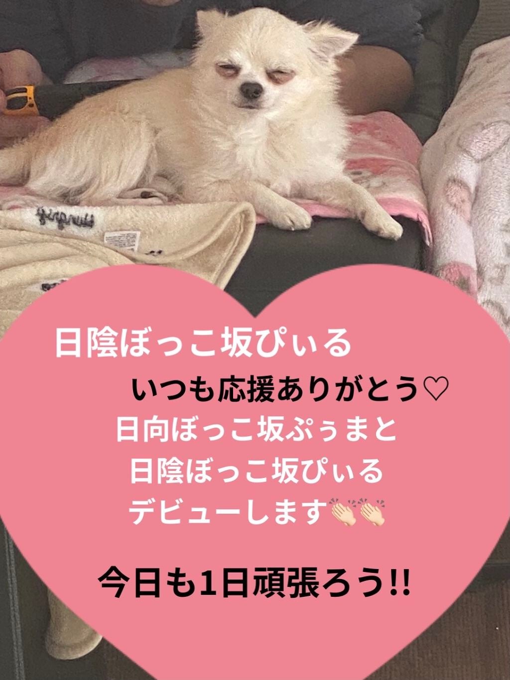 ポーラザハンドクリーム/POLA/ハンドクリームを使ったクチコミ(10枚目)