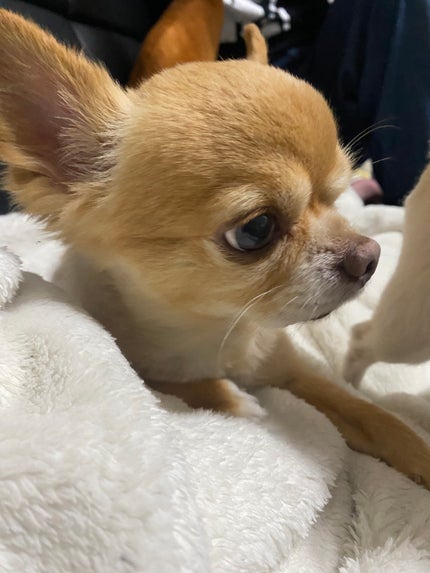 アディクション ザ リップスティック エクストレム シャイン/ADDICTION/口紅を使ったクチコミ(8枚目)