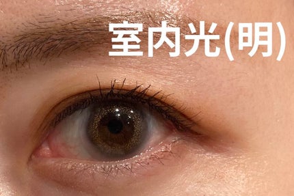 Angelcolor Bambi Series Vintage 1day/AngelColor/ワンデー(1DAY)カラコンを使ったクチコミ(2枚目)