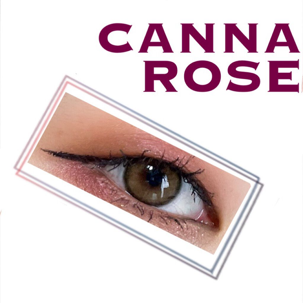 CANNA ROZE 1year カンナロゼ ベージュ/URIA i-DOL/カラーコンタクトレンズを使ったクチコミ（1枚目）