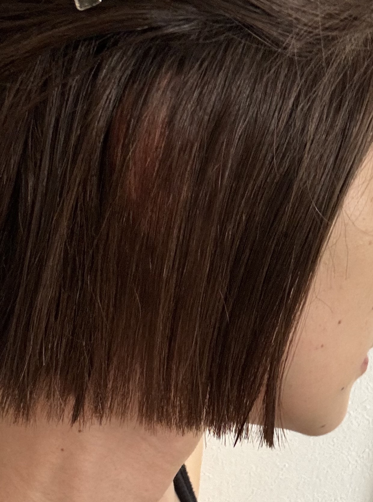 エブリカラーフォームシャンプー/アンナドンナ/市販シャンプーを使ったクチコミ（3枚目）