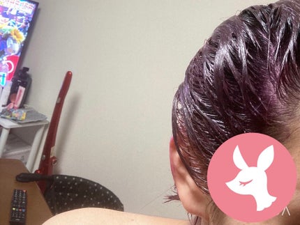 エンシェールズカラーバター/エンシェールズ/ヘアカラーを使ったクチコミ(3枚目)