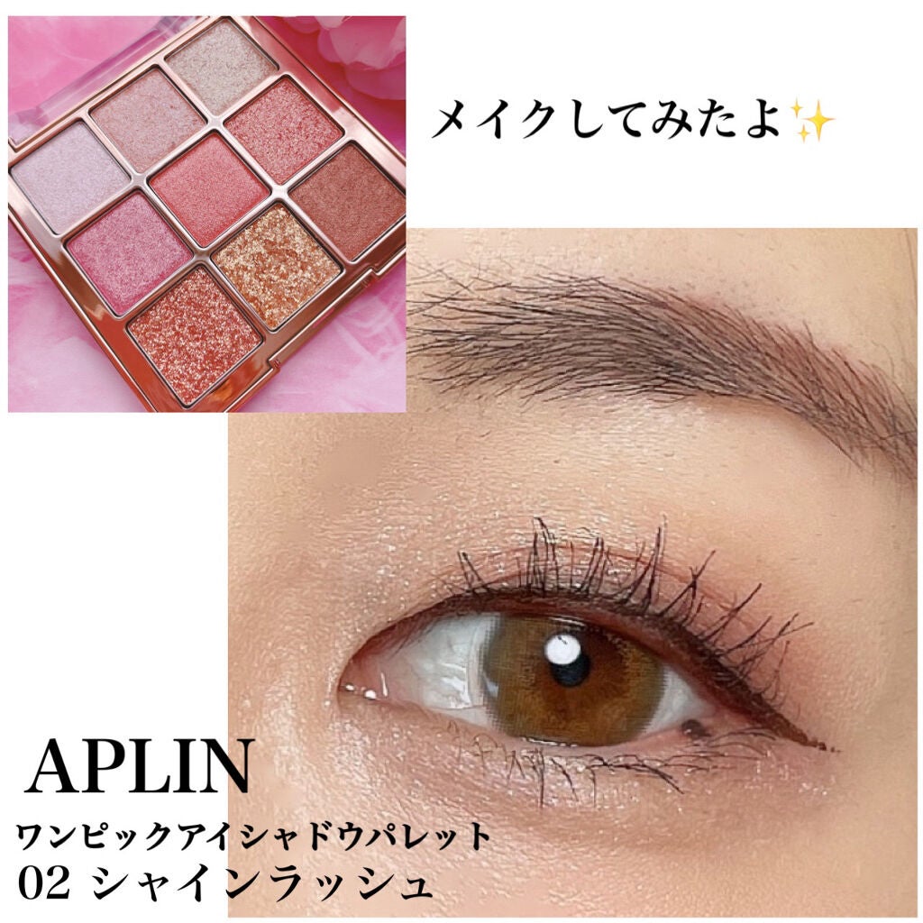 ワンピックアイシャドウパレット/APLIN/アイシャドウパレットを使ったクチコミ(8枚目)