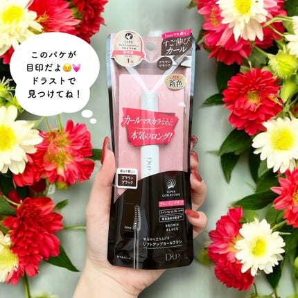 ハイパーリフトマスカラ/D-UP/マスカラを使ったクチコミ(4枚目)