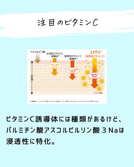 とまと村長@化粧品研究者 on LIPS 「←スキンケアマニアをしたい人は要チェック。化粧品研究者のとまと..」(4枚目)