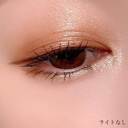 クロマティックス クワッド/shu uemura/アイシャドウパレットを使ったクチコミ(8枚目)