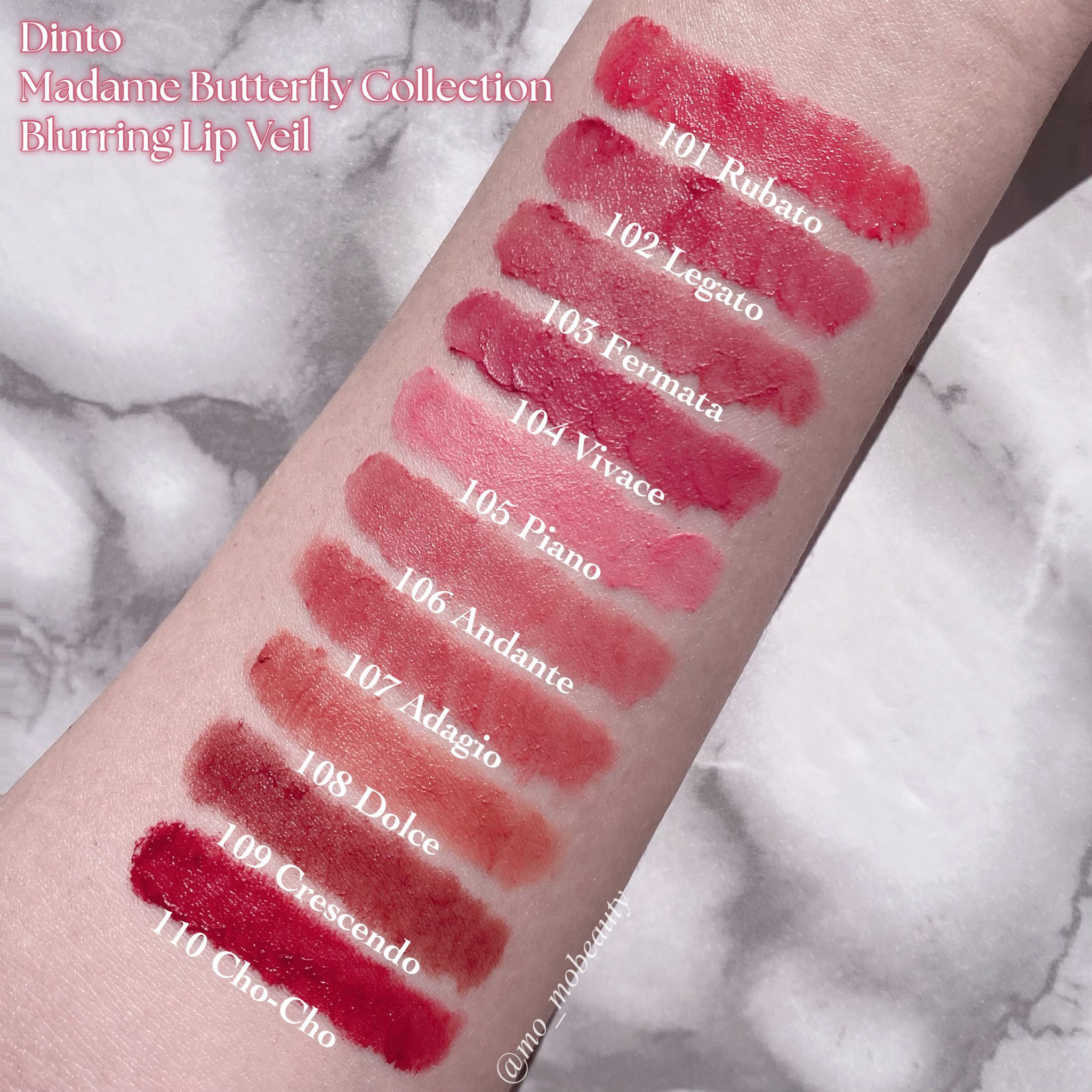 マダムバタフライコレクション ブラーニングリップベール/Dinto/口紅を使ったクチコミ（2枚目）