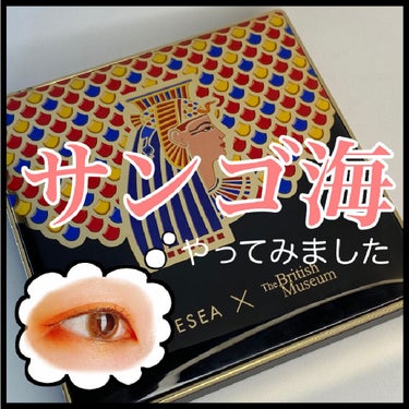 大英博物館 エジプトシリーズ アイシャドウパレット/ZEESEA/アイシャドウパレットを使ったクチコミ（1枚目）