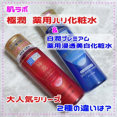 極潤 薬用ハリ化粧水【医薬部外品】/肌ラボ/化粧水を使ったクチコミ（1枚目）