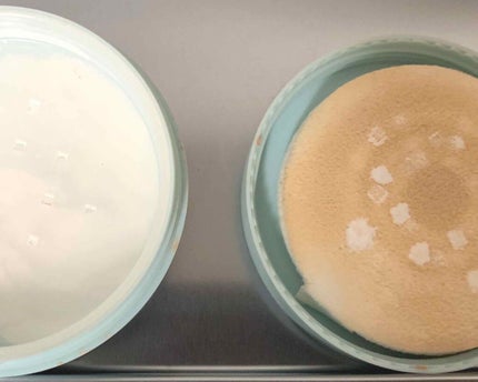 ノーセバム ミネラルパウダー/innisfree/ルースパウダーを使ったクチコミ(3枚目)