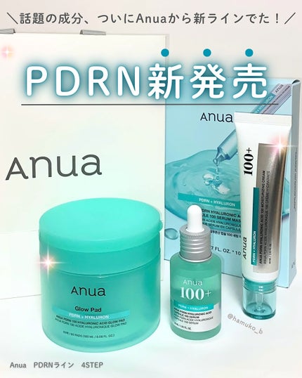 PDRNヒアルロン酸100 モイスチャライジングクリーム/Anua/フェイスクリームを使ったクチコミ(1枚目)