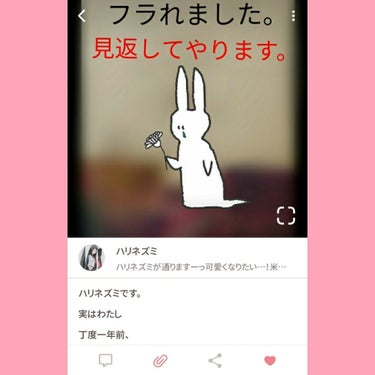 ハリネズミ on LIPS 「ハリネズミの投稿、300いいねきてた件。あああああああああああ..」（2枚目）