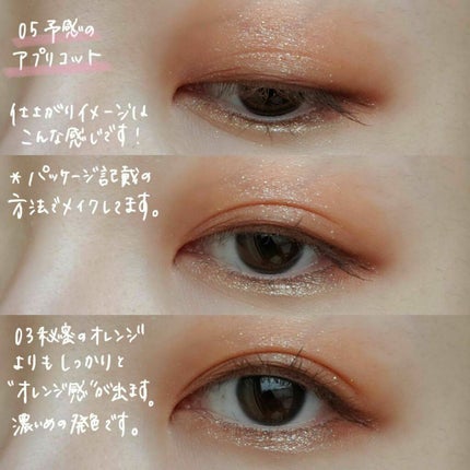 THE アイパレR/b idol/アイシャドウパレットを使ったクチコミ(5枚目)