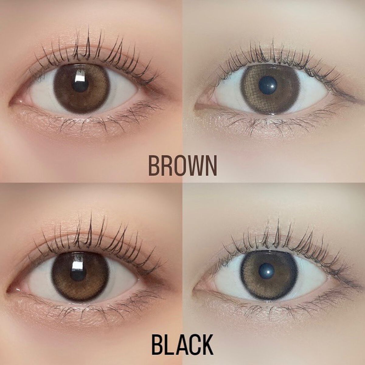 Glowy 1day/OLENS/ワンデー(1DAY)カラコンを使ったクチコミ(8枚目)