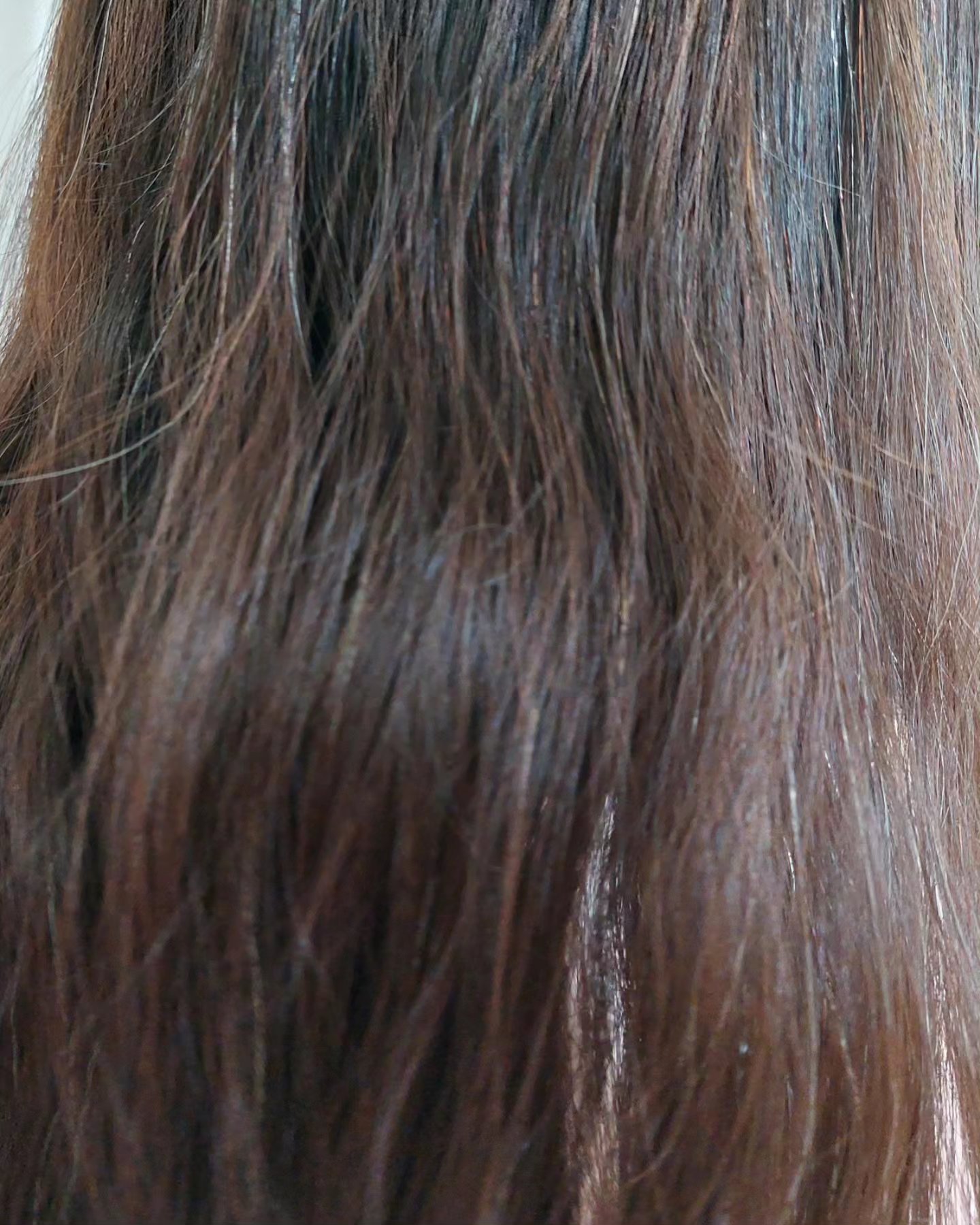 KAMIKA ベルガモットジャスミンの香り/KAMIKA/サロンシャンプーを使ったクチコミ（3枚目）