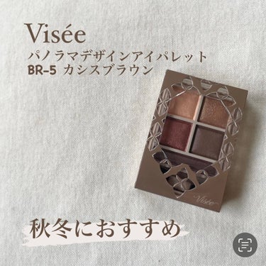 パノラマデザイン アイパレット BR-5 カシスブラウン/Visée/アイシャドウパレットを使ったクチコミ（1枚目）