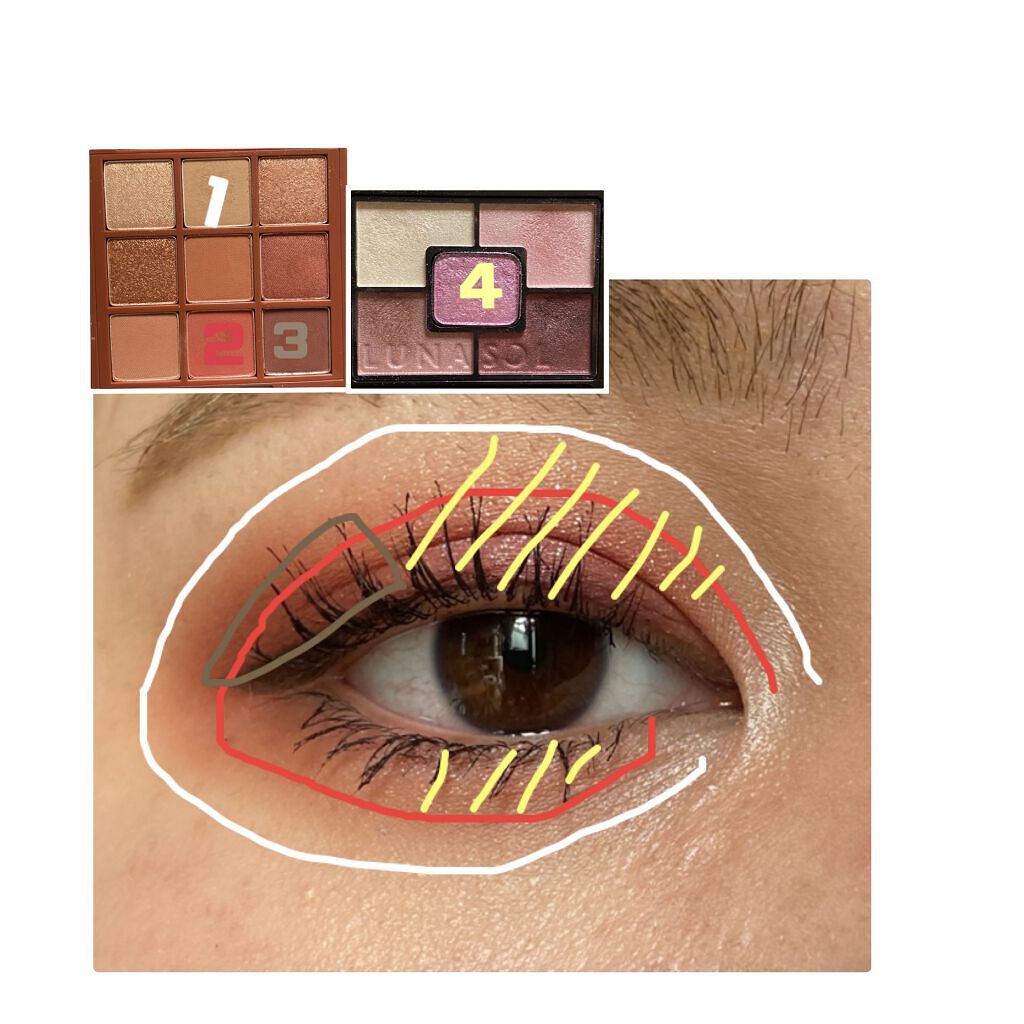 ジェミネイトアイズ N/LUNASOL/アイシャドウパレットを使ったクチコミ（2枚目）