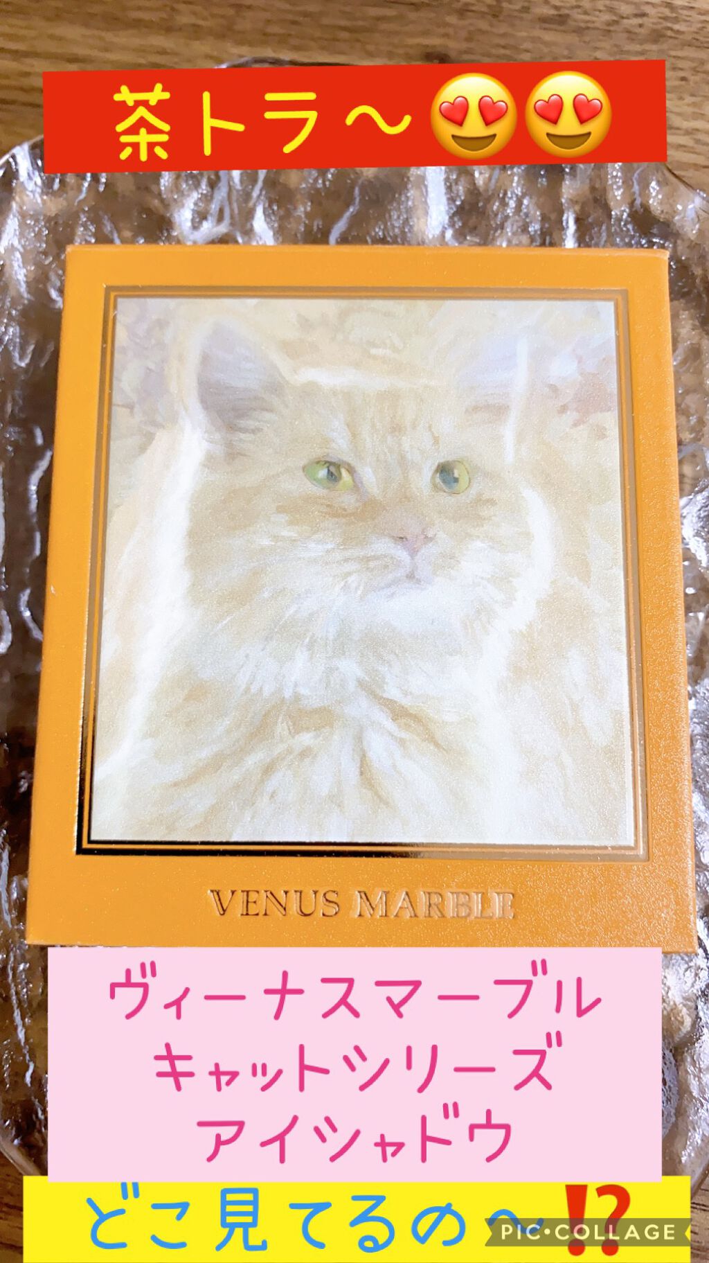 Venus Marble アイシャドウキャットシリーズ/Venus Marble/アイシャドウパレットを使ったクチコミ（1枚目）