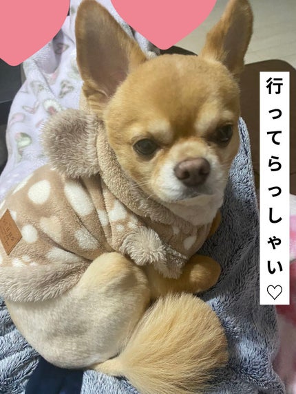 エアリーシートマスク/MISSHA/シートマスク・パックを使ったクチコミ(5枚目)