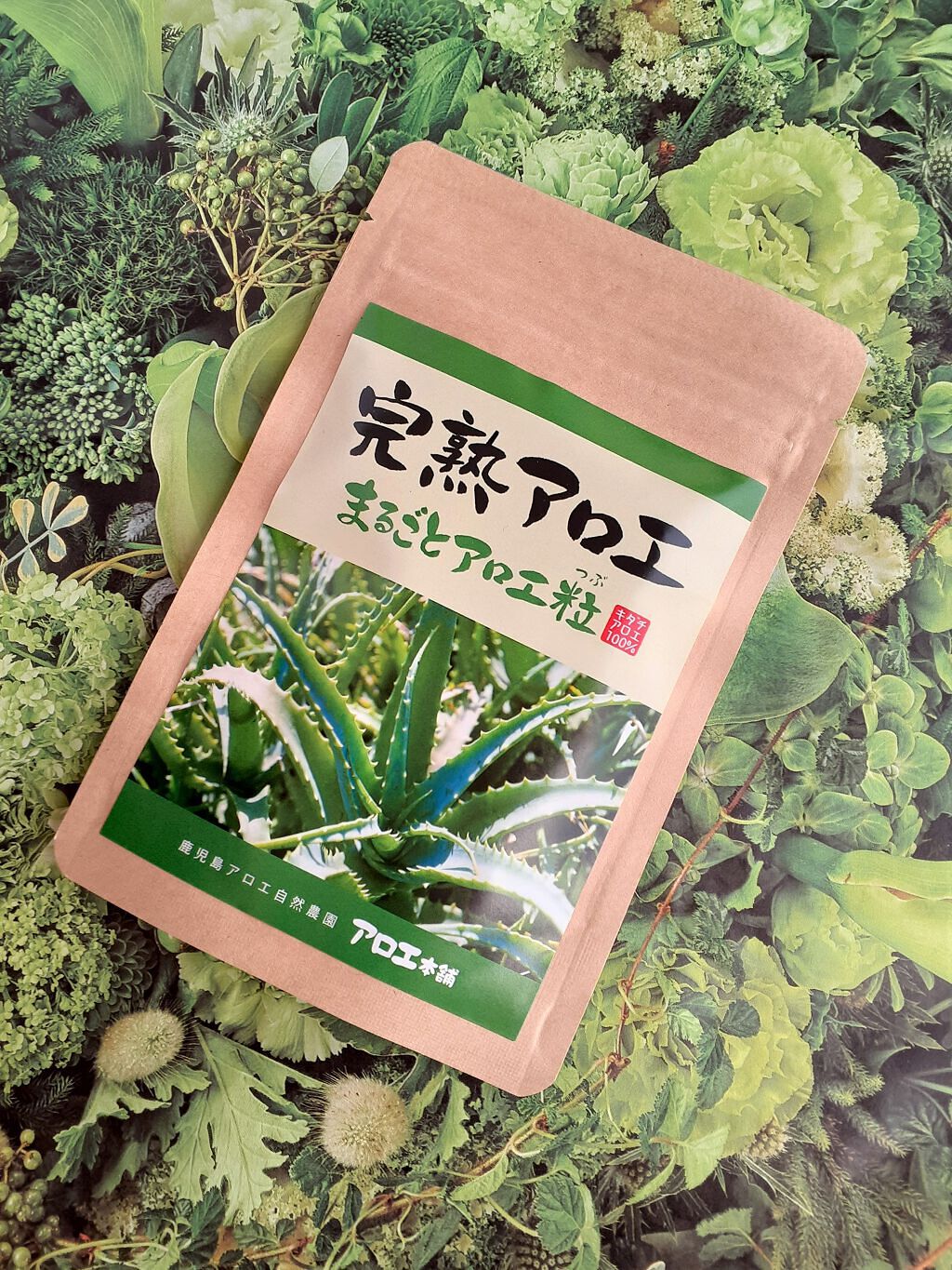 完熟アロエ まるごとアロエ粒　　/アロエ本舗/健康サプリメントを使ったクチコミ（1枚目）