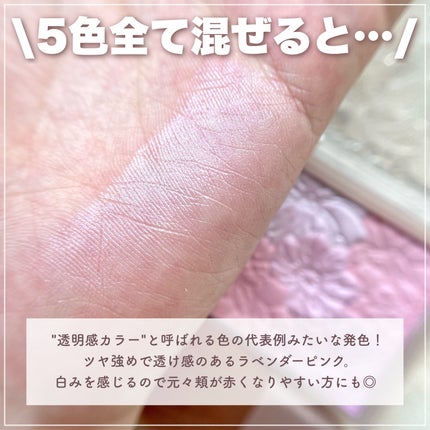 グロウフルールチークス(ブレンドタイプ)/キャンメイク/パウダーチークを使ったクチコミ(5枚目)