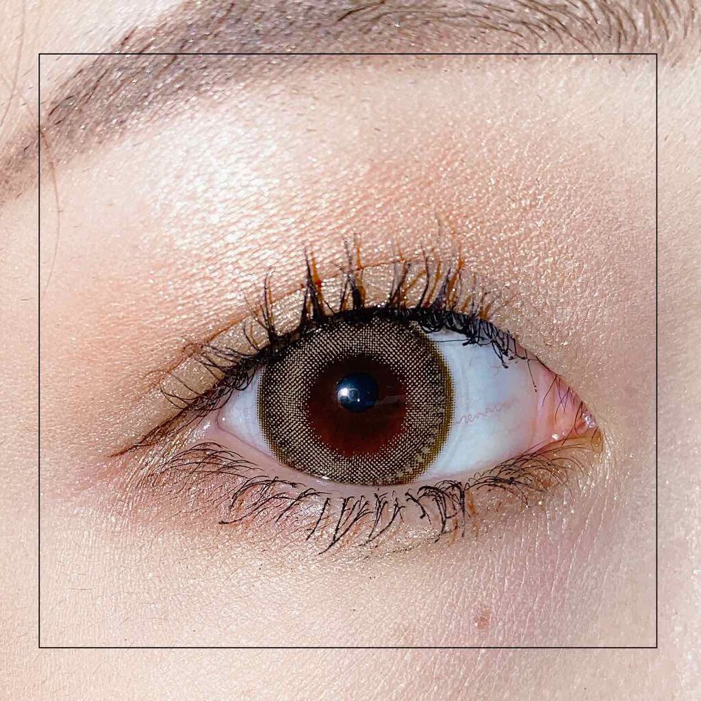 ロイヤルヴィンテージ アイズ/リンメル ロンドン/アイシャドウパレットを使ったクチコミ(2枚目)