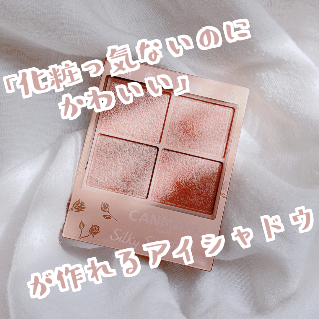 ラスティングリキッドライナー/キャンメイク/リキッドアイライナーを使ったクチコミ（1枚目）