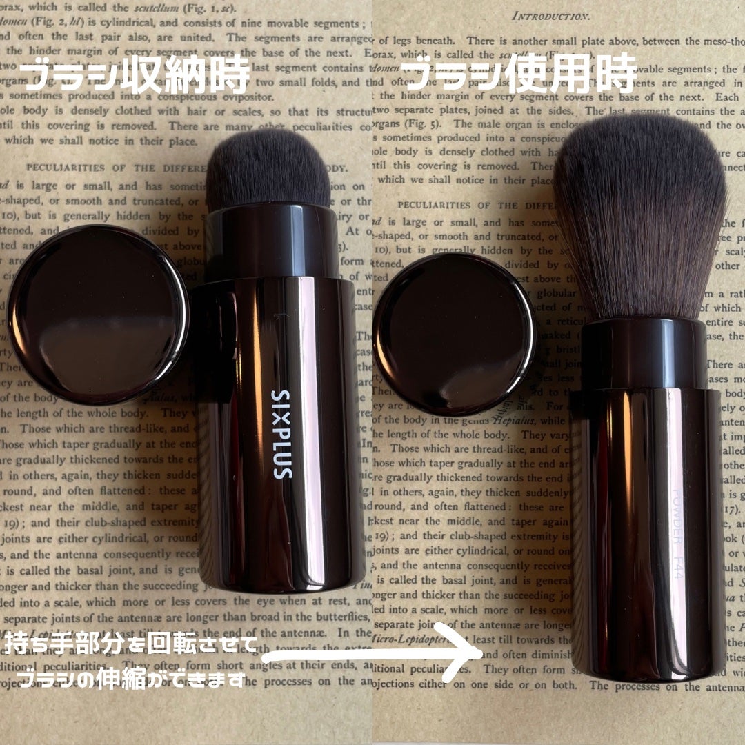 SIXPLUS 携帯用メイクブラシ3本セットCHIC シリーズ/SIXPLUS/メイクブラシを使ったクチコミ(3枚目)