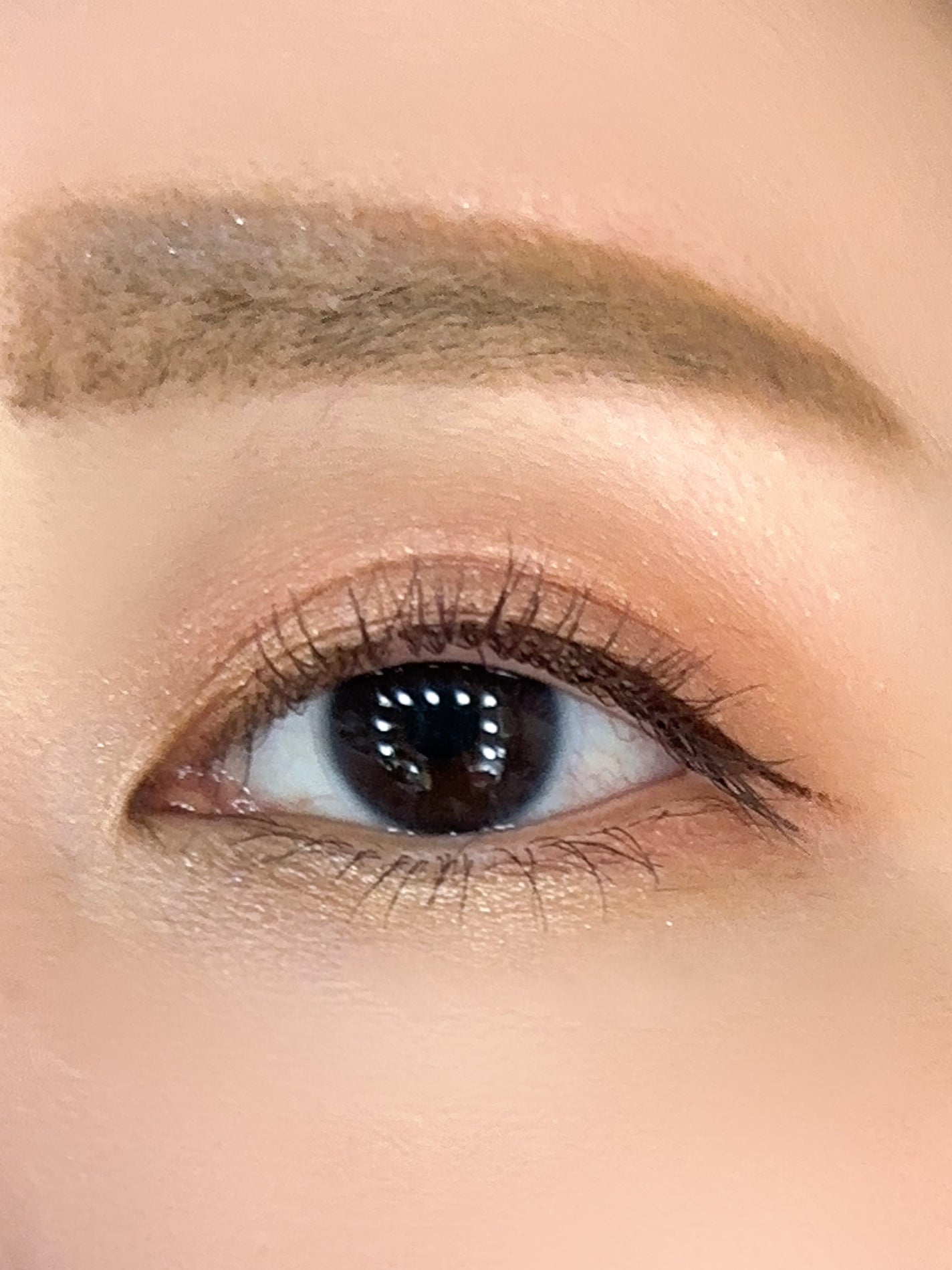 エクスプローラ12色 動物アイシャドウパレット/PERFECT DIARY/アイシャドウパレットを使ったクチコミ(2枚目)