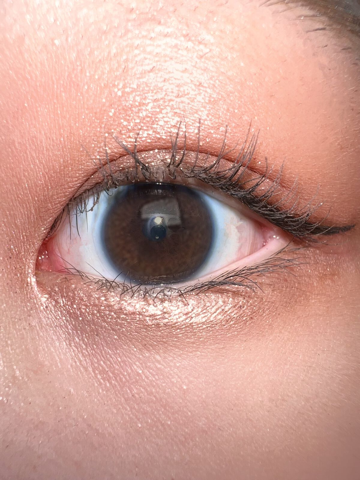 シャドウパレット/dasique/アイシャドウパレットを使ったクチコミ(3枚目)