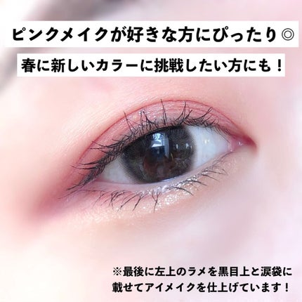 シルキースフレアイズ(マットタイプ)/キャンメイク/アイシャドウパレットを使ったクチコミ(7枚目)